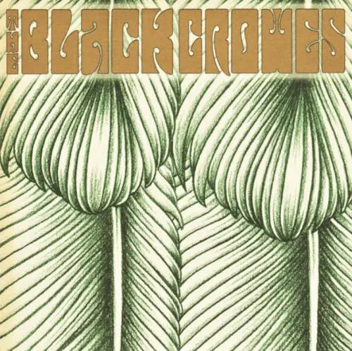 The Black Crowes : Willin'